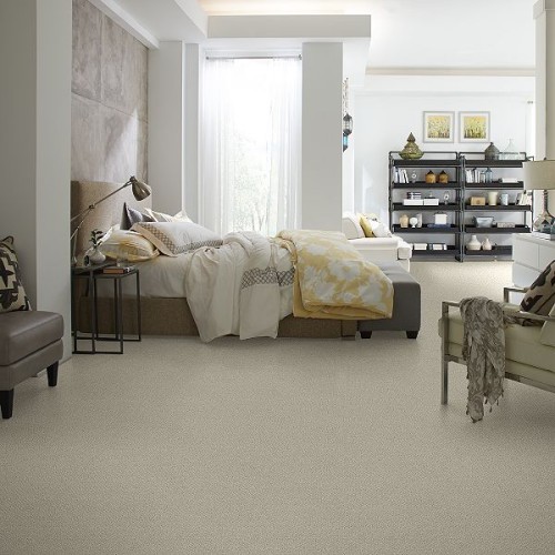 Shaw Carpet Category Image