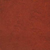 Marmoleum Linoleum Discount Prices Installation