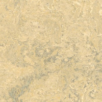 Marmoleum Linoleum Discount Prices Installation