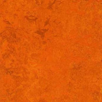 Marmoleum Linoleum Discount Prices Installation