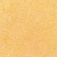 Marmoleum Linoleum Discount Prices Installation