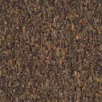 Marmoleum Linoleum Discount Prices Installation