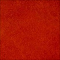 Marmoleum Linoleum Discount Prices Installation
