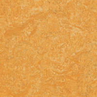Marmoleum Linoleum Discount Prices Installation