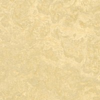 Marmoleum Linoleum Discount Prices Installation