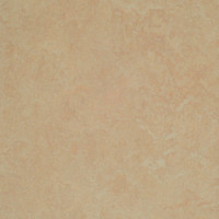 Marmoleum Linoleum Discount Prices Installation
