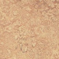 Marmoleum Linoleum Discount Prices Installation