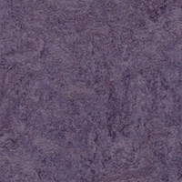 Marmoleum Linoleum Discount Prices Installation