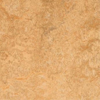 Marmoleum Linoleum Discount Prices Installation