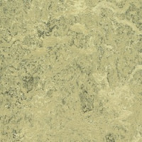 Marmoleum Linoleum Discount Prices Installation