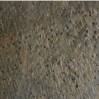 Gold Green Honed Slate Quartzite