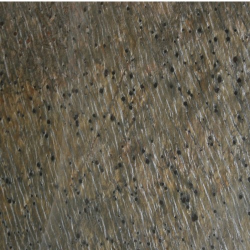 gold-green-slate