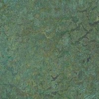 Marmoleum Linoleum Discount Prices Installation