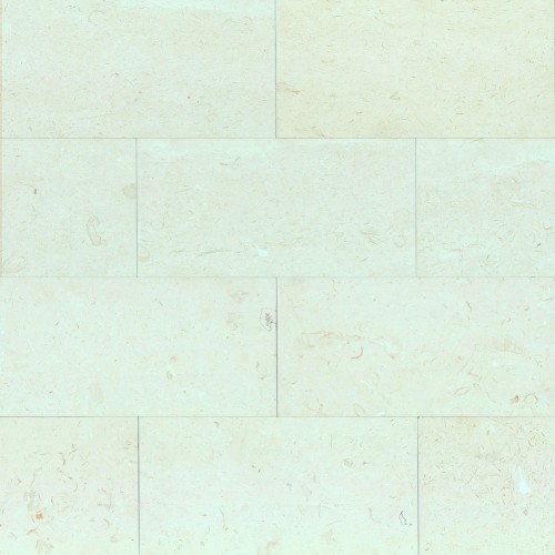 Blanco Limestone 12×24 Honed LMNCORWHT1224H_1000