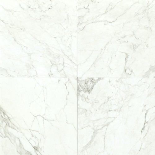 Calacatta HONED 24×24