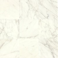 Calacatta Polished 12x12
