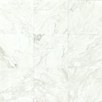 Calacatta Polished 18x18 Marble