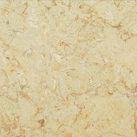 Khatmaya Limestone 12x24 Honed