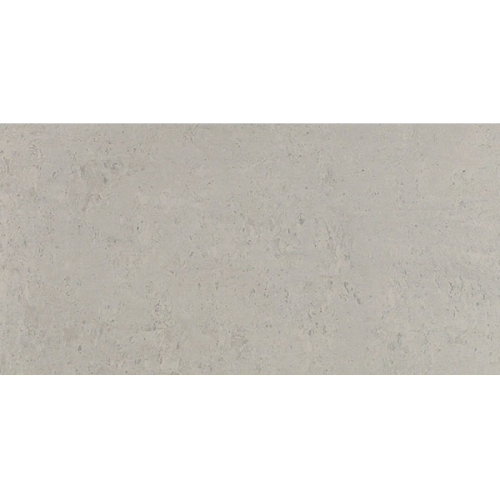 Loriant GRIS Matte 12×24 CROPPED