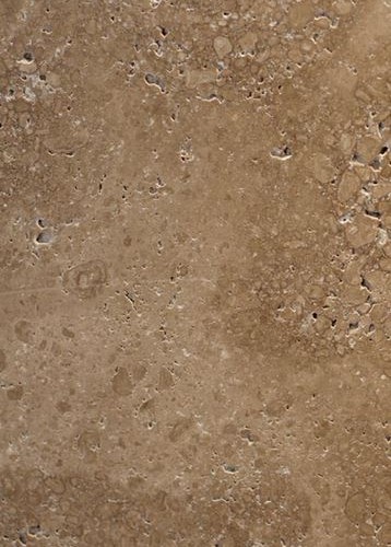 Noce 16×24 Honed and Unfilled