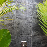 Ostrich Gray Honed 12x12 Slate