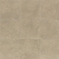 Sea Grass Limestone 12x12
