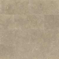 Sea Grass Limestone 12x24