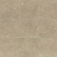 Sea Grass Limestone 18x18