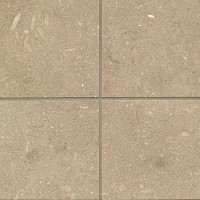 Sea Grass Limestone 6x6